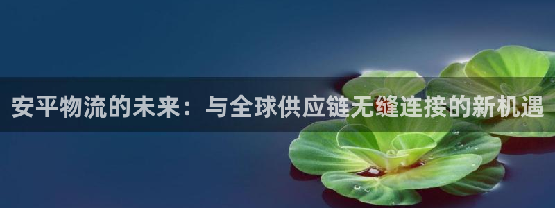 超凡国际链官网：安平物流的未来：与全