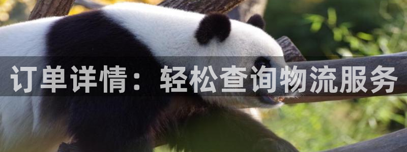 超凡国际官网版所有版本：订单详情：轻