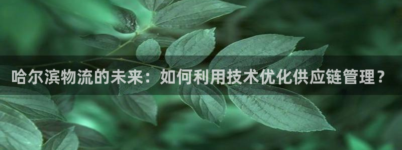 超凡国际注册送：哈尔滨物流的未来：如