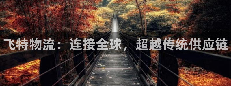 超凡国际官网下载链接怎么弄：飞特物流