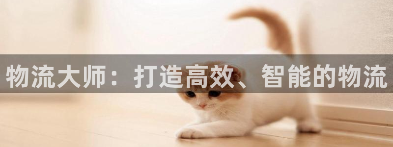 超凡国际注册登录链接：物流大师：打造