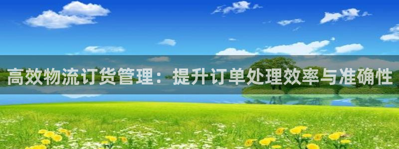 超凡国际加拿大能提现吗：高效物流订货