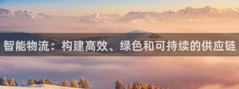 超凡国际注册送：智能物流：构建高效、