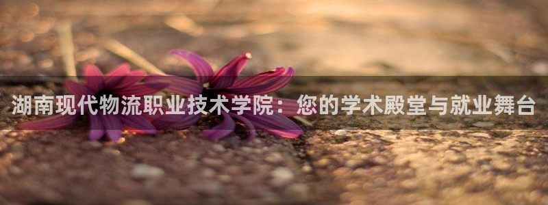 超凡国际人头费：湖南现代物流职业技术