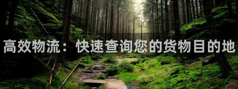 超凡国际h5链接：高效物流：快速查询