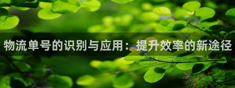 超凡国际正规吗：物流单号的识别与应用
