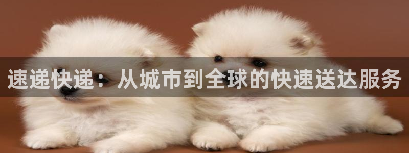 超凡国际开奖预测：速递快递：从城市到