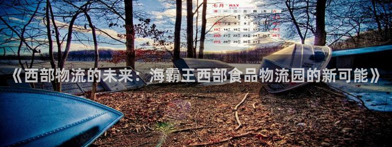超凡国际口戒指是多大：《西部物流的未