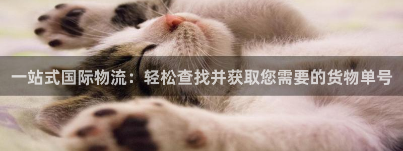 超凡国际注册与教程：一站式国际物流：
