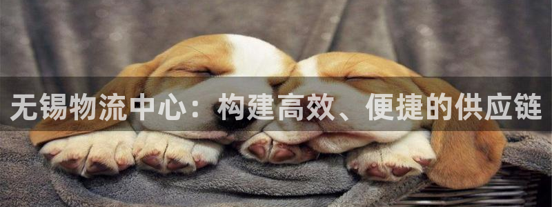 超凡国际注册账号：无锡物流中心：构建