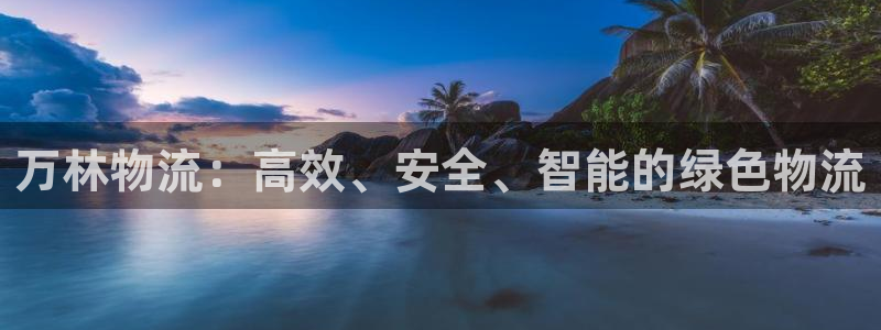 超凡国际机器人是什么软件：万林物流：