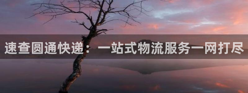 超凡国际链接多少:速查圆通快递:一站